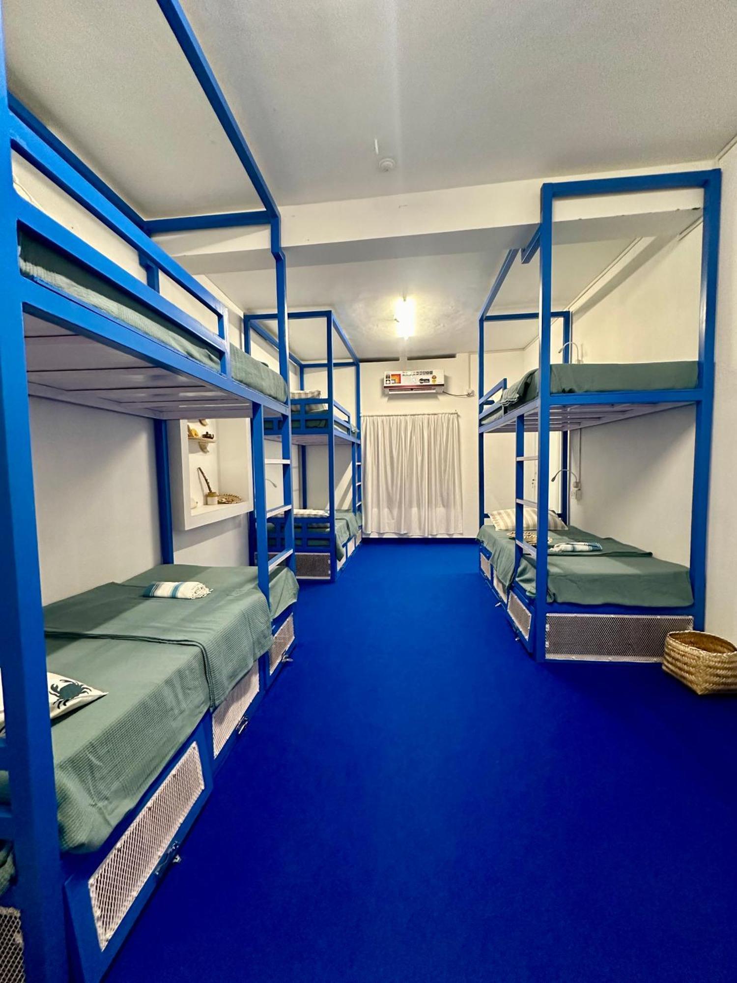 House Of Surf Hostel For Women バルカラ エクステリア 写真